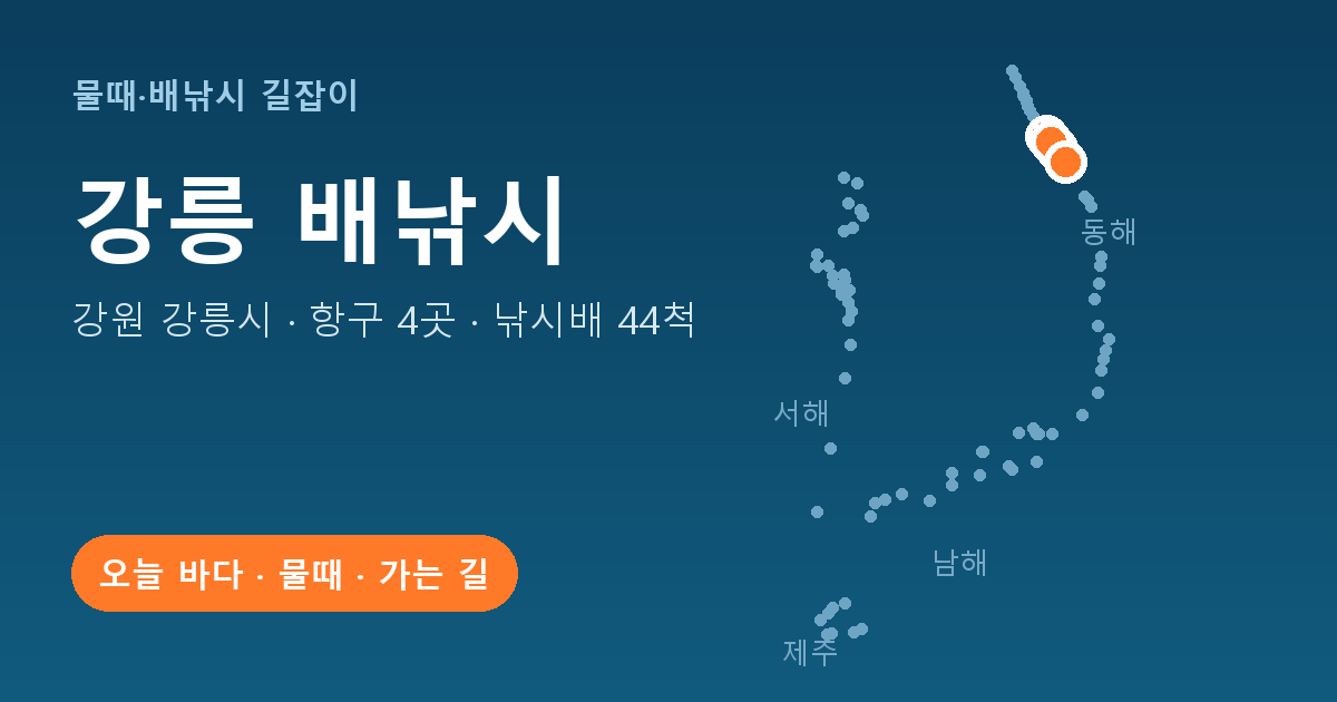강원 강릉시 배낚시 항구 4곳 · 낚시배 44척