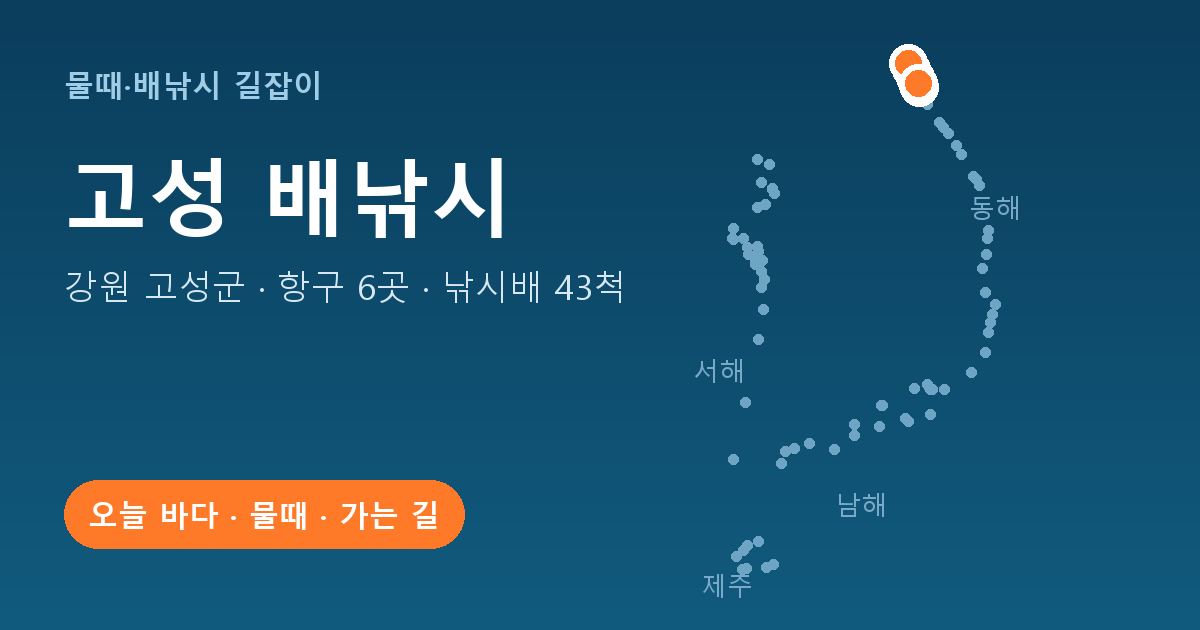 강원 고성군 배낚시 항구 6곳 · 낚시배 43척