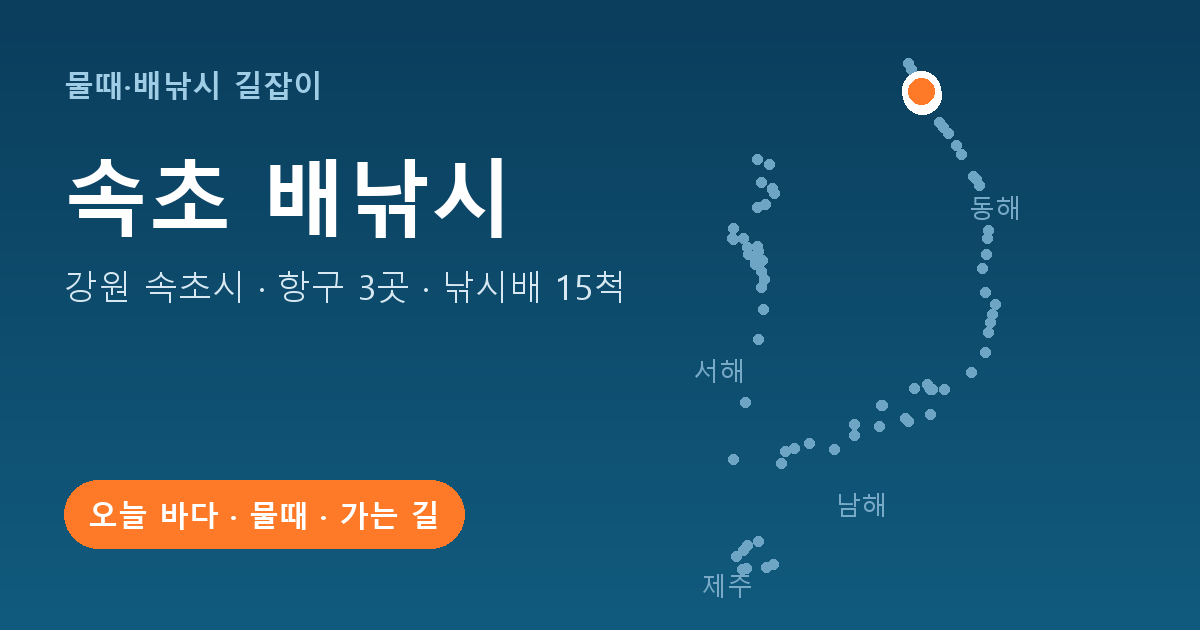 강원 속초시 배낚시 항구 3곳 · 낚시배 15척