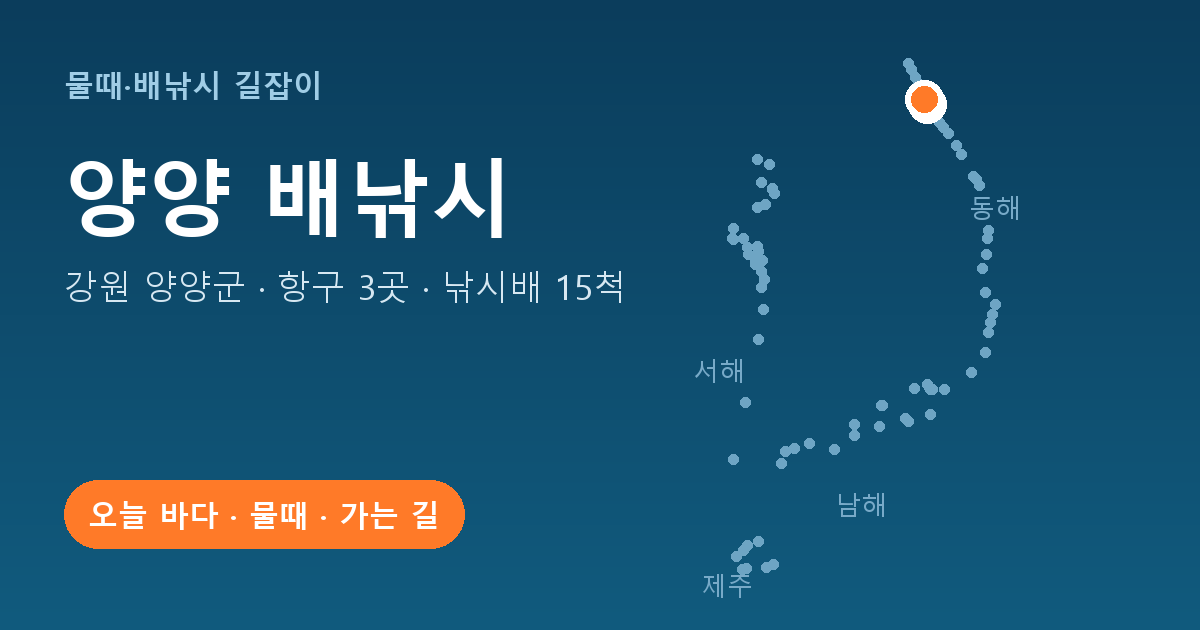 강원 양양군 배낚시 항구 3곳 · 낚시배 15척